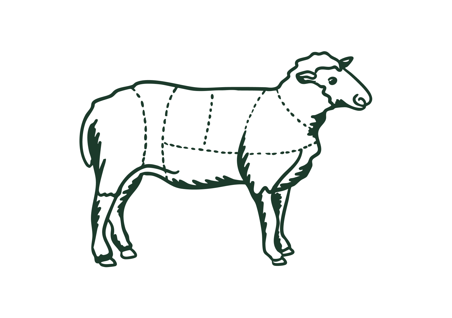 image of animal cut guide